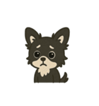 チワワのくーみみ1（個別スタンプ：8）