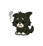 チワワのくーみみ1（個別スタンプ：16）