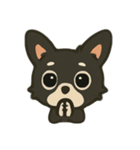チワワのくーみみ1（個別スタンプ：39）