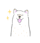 シロシバのまいにち1（個別スタンプ：2）