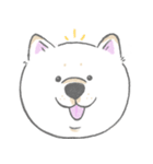 シロシバのまいにち1（個別スタンプ：22）