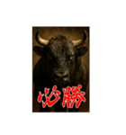 徳之島の闘牛（個別スタンプ：1）