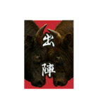 徳之島の闘牛（個別スタンプ：3）