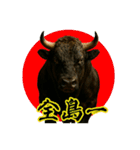 徳之島の闘牛（個別スタンプ：4）