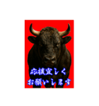 徳之島の闘牛（個別スタンプ：6）