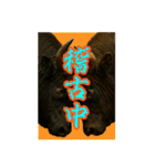 徳之島の闘牛（個別スタンプ：12）