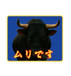 徳之島の闘牛（個別スタンプ：18）