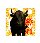 徳之島の闘牛（個別スタンプ：19）