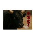 徳之島の闘牛（個別スタンプ：29）