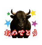 徳之島の闘牛（個別スタンプ：33）