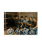 徳之島の闘牛（個別スタンプ：38）