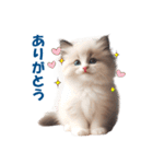 愛らしいラグドールの子猫のスタンプ（個別スタンプ：3）