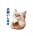 愛らしいラグドールの子猫のスタンプ（個別スタンプ：9）