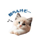 愛らしいラグドールの子猫のスタンプ（個別スタンプ：12）
