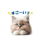 愛らしいラグドールの子猫のスタンプ（個別スタンプ：14）