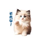 愛らしいラグドールの子猫のスタンプ（個別スタンプ：15）