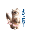 愛らしいラグドールの子猫のスタンプ（個別スタンプ：25）