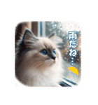 愛らしいラグドールの子猫のスタンプ（個別スタンプ：27）