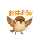毎日使える可愛いスズメたち（個別スタンプ：1）
