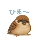 毎日使える可愛いスズメたち（個別スタンプ：3）