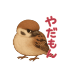 毎日使える可愛いスズメたち（個別スタンプ：8）
