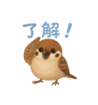 毎日使える可愛いスズメたち（個別スタンプ：10）