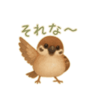 毎日使える可愛いスズメたち（個別スタンプ：14）