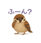 毎日使える可愛いスズメたち（個別スタンプ：15）