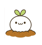 だいこんあざらし1（個別スタンプ：39）