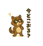 地元最強！たぬき（個別スタンプ：16）