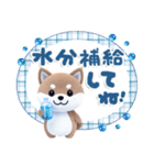 ほんわか柴犬のご挨拶♪（個別スタンプ：17）