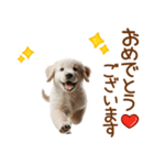 敬語のゴールデンレトリバーの子犬スタンプ（個別スタンプ：6）