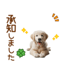 敬語のゴールデンレトリバーの子犬スタンプ（個別スタンプ：8）