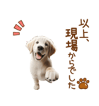 敬語のゴールデンレトリバーの子犬スタンプ（個別スタンプ：9）