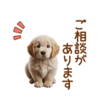 敬語のゴールデンレトリバーの子犬スタンプ（個別スタンプ：10）