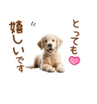 敬語のゴールデンレトリバーの子犬スタンプ（個別スタンプ：11）