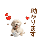 敬語のゴールデンレトリバーの子犬スタンプ（個別スタンプ：19）