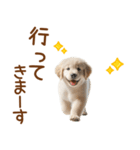 敬語のゴールデンレトリバーの子犬スタンプ（個別スタンプ：25）