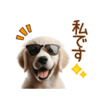 敬語のゴールデンレトリバーの子犬スタンプ（個別スタンプ：32）