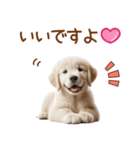 敬語のゴールデンレトリバーの子犬スタンプ（個別スタンプ：35）