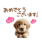 敬語のゴールデンレトリバーの子犬スタンプ（個別スタンプ：39）
