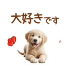 敬語のゴールデンレトリバーの子犬スタンプ（個別スタンプ：40）
