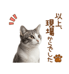 敬語のアメショスタンプ2（個別スタンプ：9）