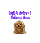 トイプードル子犬の動くスタンプ（個別スタンプ：4）
