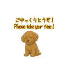 トイプードル子犬の動くスタンプ（個別スタンプ：11）