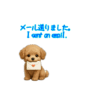 トイプードル子犬の動くスタンプ（個別スタンプ：14）