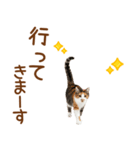 敬語の三毛猫（個別スタンプ：25）