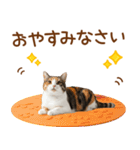 敬語の三毛猫（個別スタンプ：38）