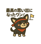 がんばれ！黒チワワ運動会スタンプ（個別スタンプ：14）