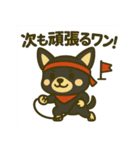 がんばれ！黒チワワ運動会スタンプ（個別スタンプ：15）